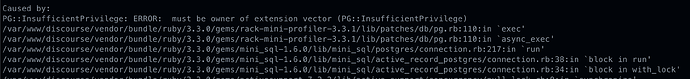 L'immagine mostra uno stack trace con messaggi di errore relativi ai privilegi di PostgreSQL e alle dipendenze Ruby/Gem. (Sottotitolato dall'IA)