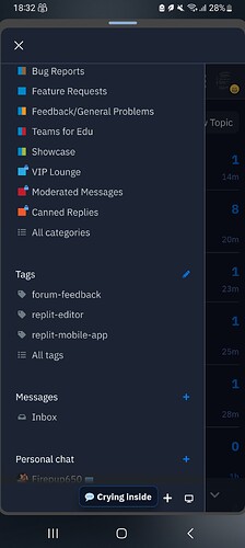 Screenshot_20230831_183227_Replit