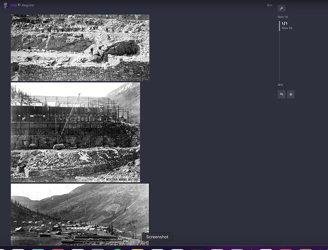 Screenshot 2024-11-14 at 12.42.37 PM