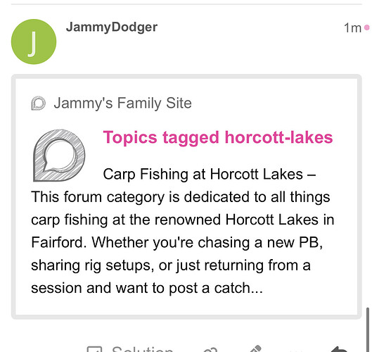 Das Bild zeigt Textinformationen über eine Forenkategorie, die dem Karpfenangeln in Horcott Lakes gewidmet ist, mit einem Beitrag von JammyDodger. (Beschriftet von KI)