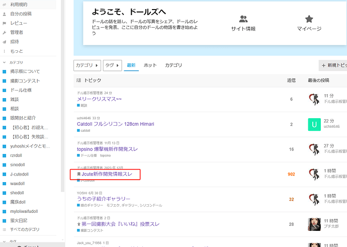 The image is a screenshot of a forum page with various threads related to dolls, discussions, and reviews in different categories such as J-cute, doll mamas, and Meri Christmas. (Captioned by AI)