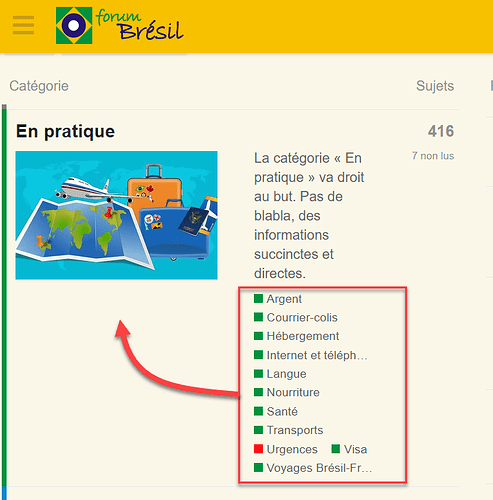 Esta imagem parece ser uma captura de tela de um fórum ou site de viagens chamado Forum Brésil relacionado a viagens ou vida no Brasil, mostrando várias categorias ou tópicos práticos como dinheiro, correio/envio, acomodações, internet/telefone, idioma, alimentação, saúde, transporte, emergências, vistos e dicas de viagem entre o Brasil e a França. (Legenda por IA)