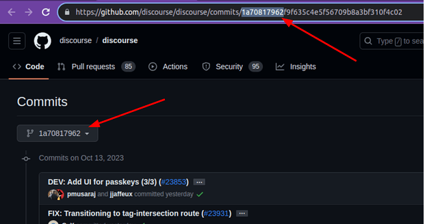 git_discourse_version