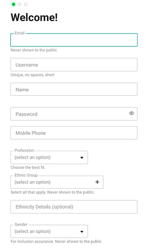 Esta imagem mostra um formulário de inscrição para criar uma nova conta com campos para e-mail, nome de usuário, nome, senha, telefone celular, profissão, grupo étnico e seleção de gênero, juntamente com opções para adicionar detalhes de etnia e selecionar uma profissão opcional. (Legenda da IA)