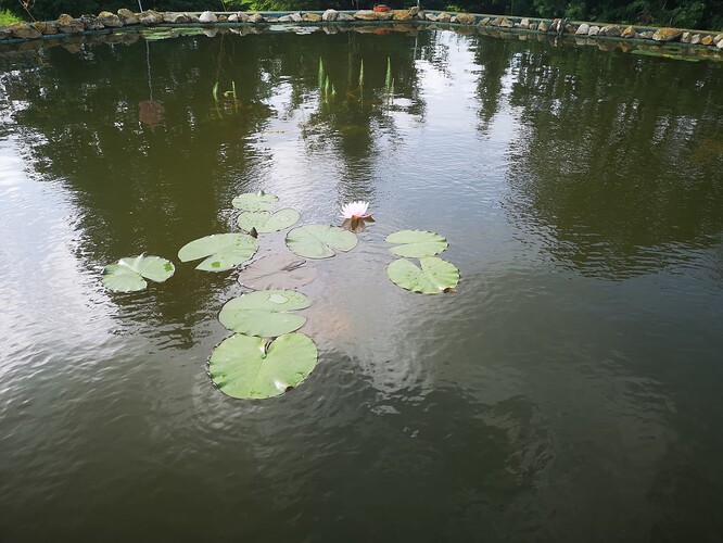 IMG_20240609_081728