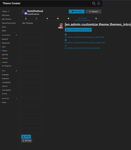L'immagine mostra un'interfaccia utente di una piattaforma di personalizzazione dei temi che visualizza URL di esempio per diverse opzioni sotto "I miei temi" con particolare attenzione al tema "en.admin.customize". (Sottotitolato dall'IA)