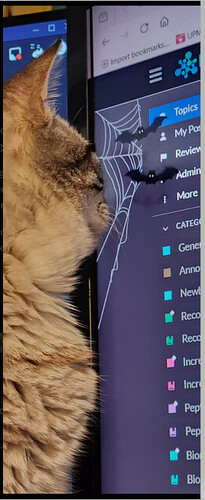 一只猫正专注地盯着一台电脑屏幕，屏幕上打开了一个网页浏览器，上面有彩色书签主题列表和一个黑色的蜘蛛图标。（由AI配图）