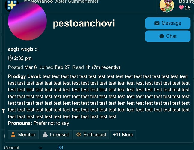 Uno screenshot del profilo utente di Aster Summermamer che mostra un lungo post pieno di testo ripetitivo "test", con opzioni per inviare messaggi o chattare, e che riceve 28 punti bonus. (Didascalia dell'IA)