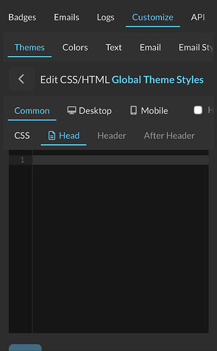 Questa è una schermata di un'interfaccia di computer per un editor di temi, specificamente per i file HTML, CSS e JavaScript. (Sottotitolato dall'IA)