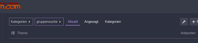 L'immagine mostra un'interfaccia di una pagina web con opzioni di navigazione come "Kategorien", "gruppsuche", "Aktuell", "Angesagt" e "Kategorien". (Etichettato dall'IA)