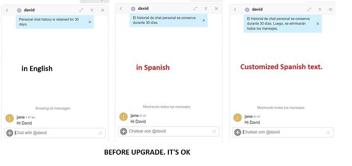 BEFORE-UPGRADE-text-customize-other-languages