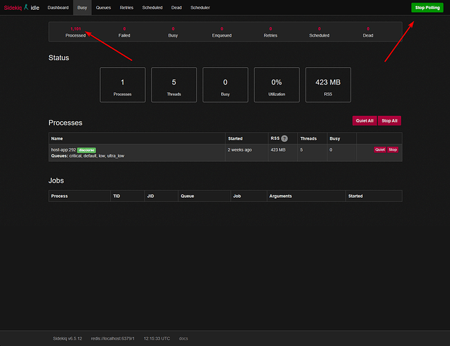 Questa immagine mostra una dashboard di Sidekiq che visualizza lo stato e i processi di sistema con 1.101 attività elaborate, 5 thread in esecuzione, 0 attività occupate e un utilizzo di memoria RSS di 423 MB sull'host. (Didascalia dell'IA)
