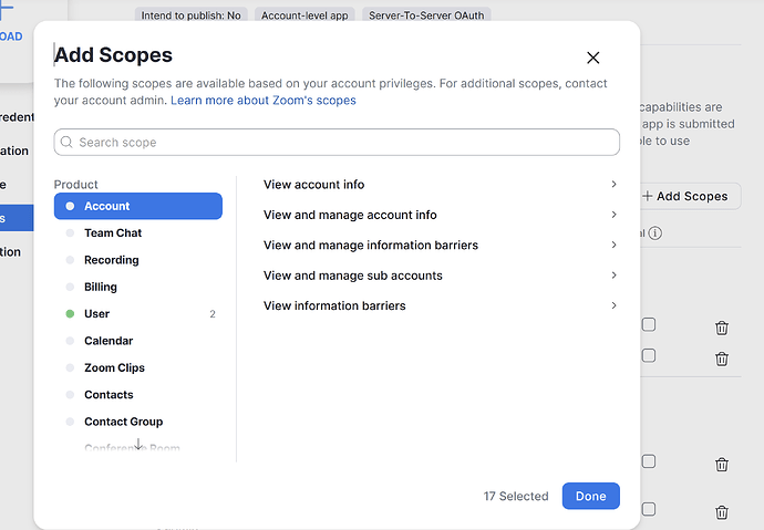 This image shows a computer screen with a form to add scopes to an account. (Captioned by AI)