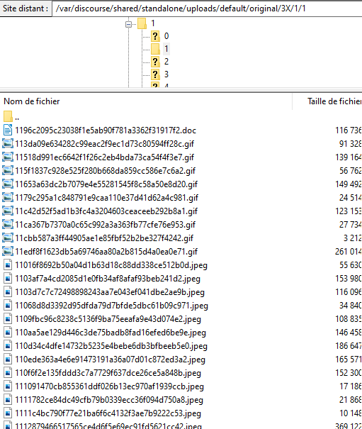 uploads folder