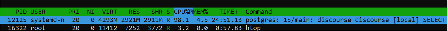 Carico CPU elevato postgres (htop )