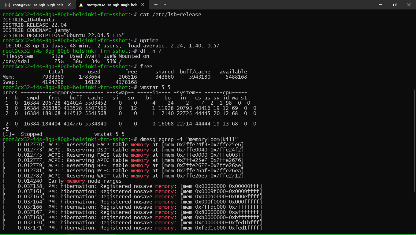 The image shows a terminal interface with various command outputs, including system information, disk usage, memory usage, and kernel memory allocation details. (Captioned by AI)